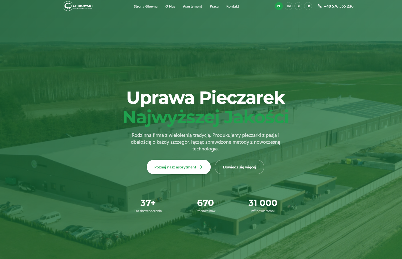 Chibowski Elektro - realizacja strony internetowej